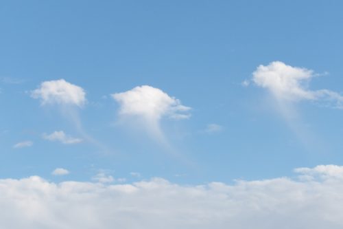 空には巨大クラゲがゆらり～？