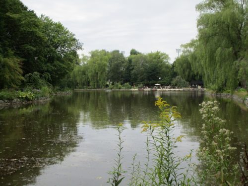 平日の月寒公園