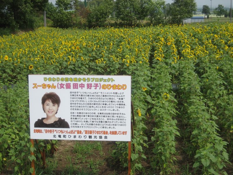 ひまわりの花を咲かそうプロジェクト