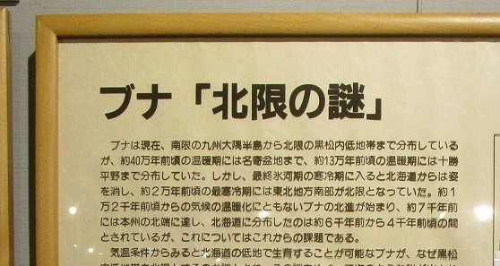 サムネイル道の駅No57くろまつない」