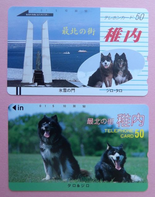 テレホンカード南極観測隊に同行「タロ・ジロ」