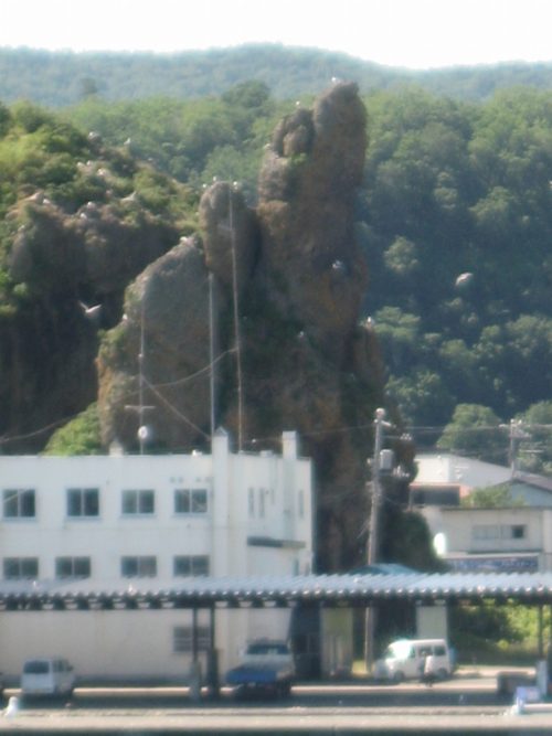 宇登呂港のゴジラ岩