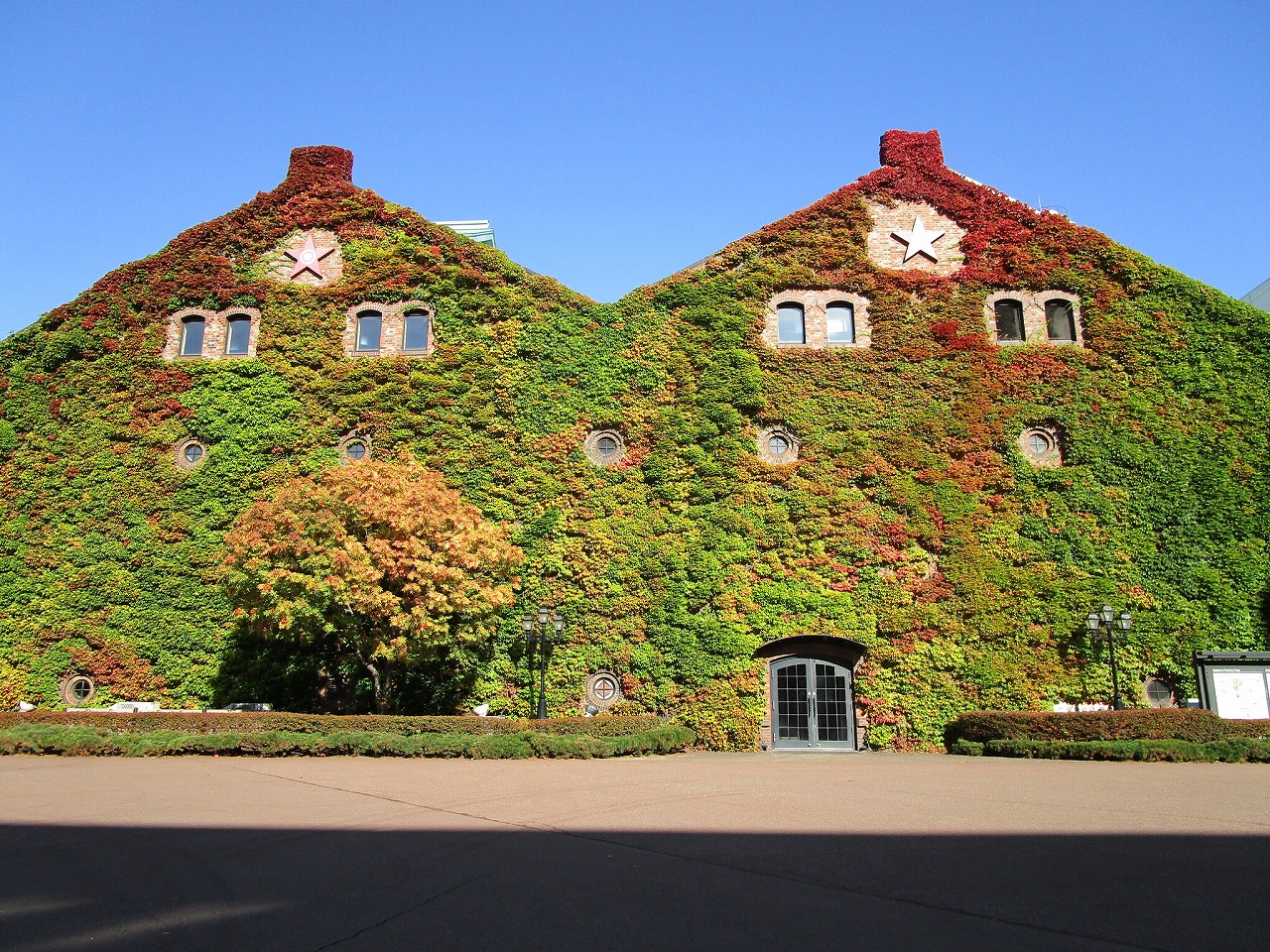 紅葉までもう少しお待ちください（札幌ファクトリー）
