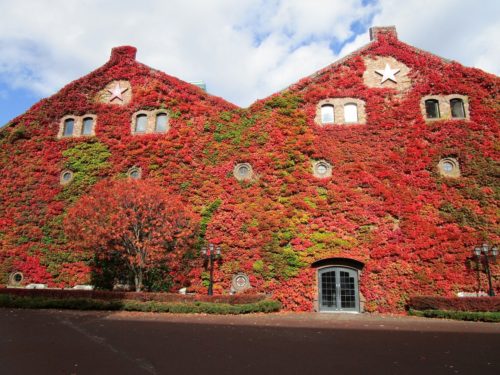 ファクトリー赤レンガ（札幌：中央区）