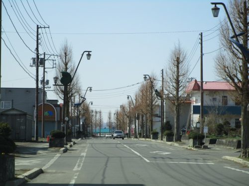 穂別地区街中（R７４道道・穂別鵡川線）の街路灯には古代生物のオブジェが・・・5 -2022.4.21-