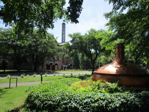 レンガのキャンパスにグリーンが載ってきました4