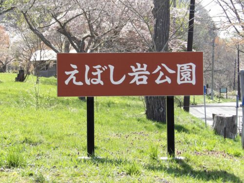 湖畔東側からの昭和新山と有珠山/えぼし岩公園の桜並木2